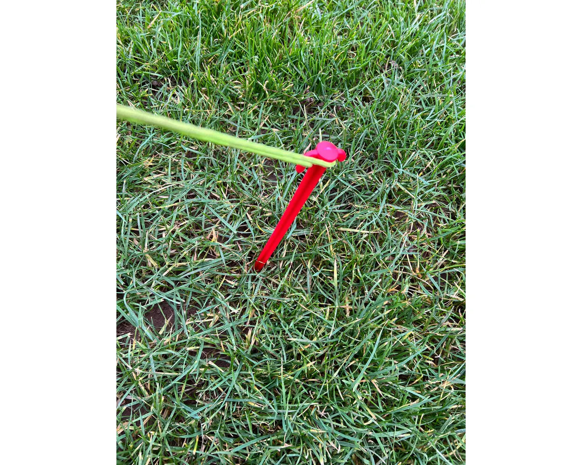 OLPRO 6 Extra Long 30cm Plastic Tent Pegs- Out & About Live